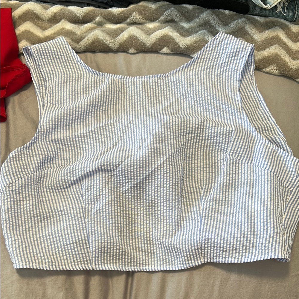Striped Blue and White Women's Top